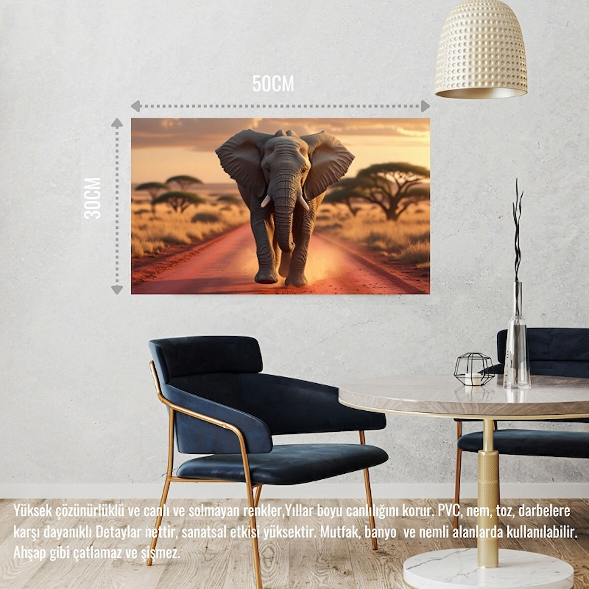 VAHŞİ DOĞADA KOŞAN FİL 03 ÇERÇEVESİZ 50X30 CM PVC TABLO