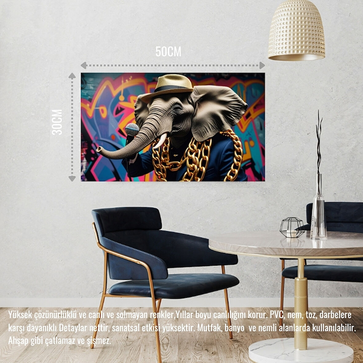 RAPÇİ FİL 02 ÇERÇEVESİZ 50X30 CM PVC TABLO