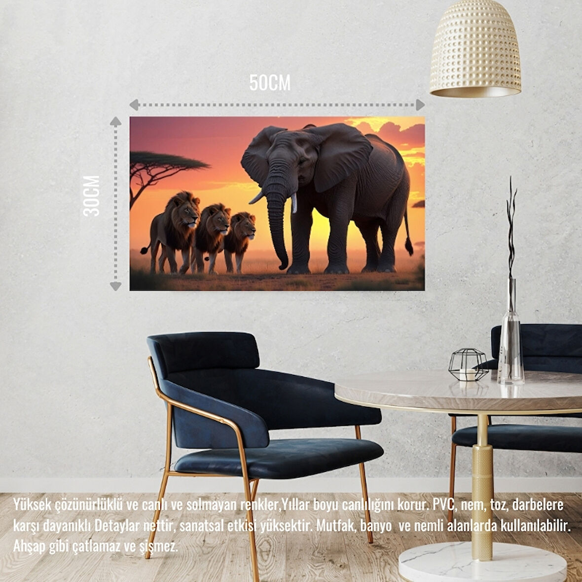 FİL VE ASLANLAR VAHŞİ DOĞADA 03 ÇERÇEVESİZ 50X30 CM PVC TABLO