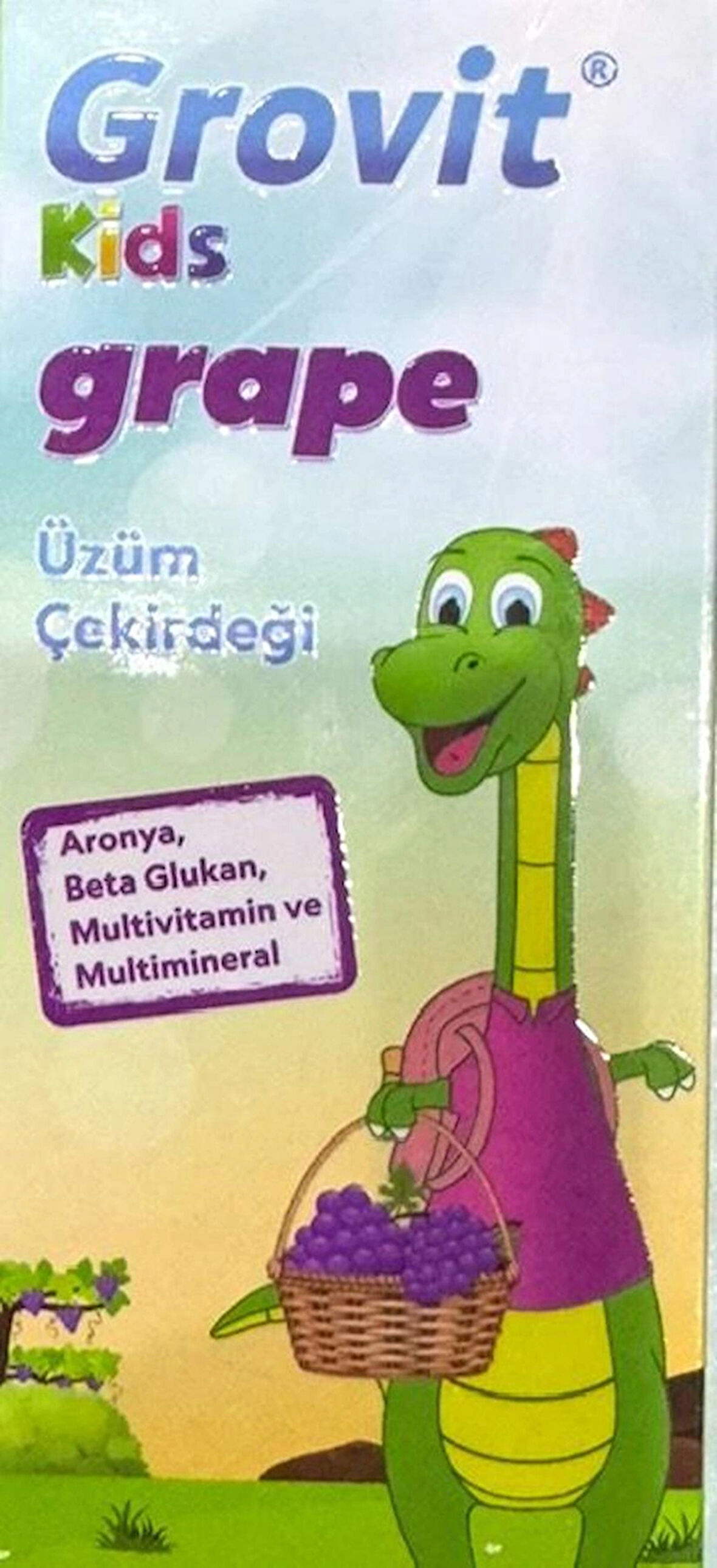 GROVIT KIDS GRAPE ÜZÜM ÇEKİRDEĞİ