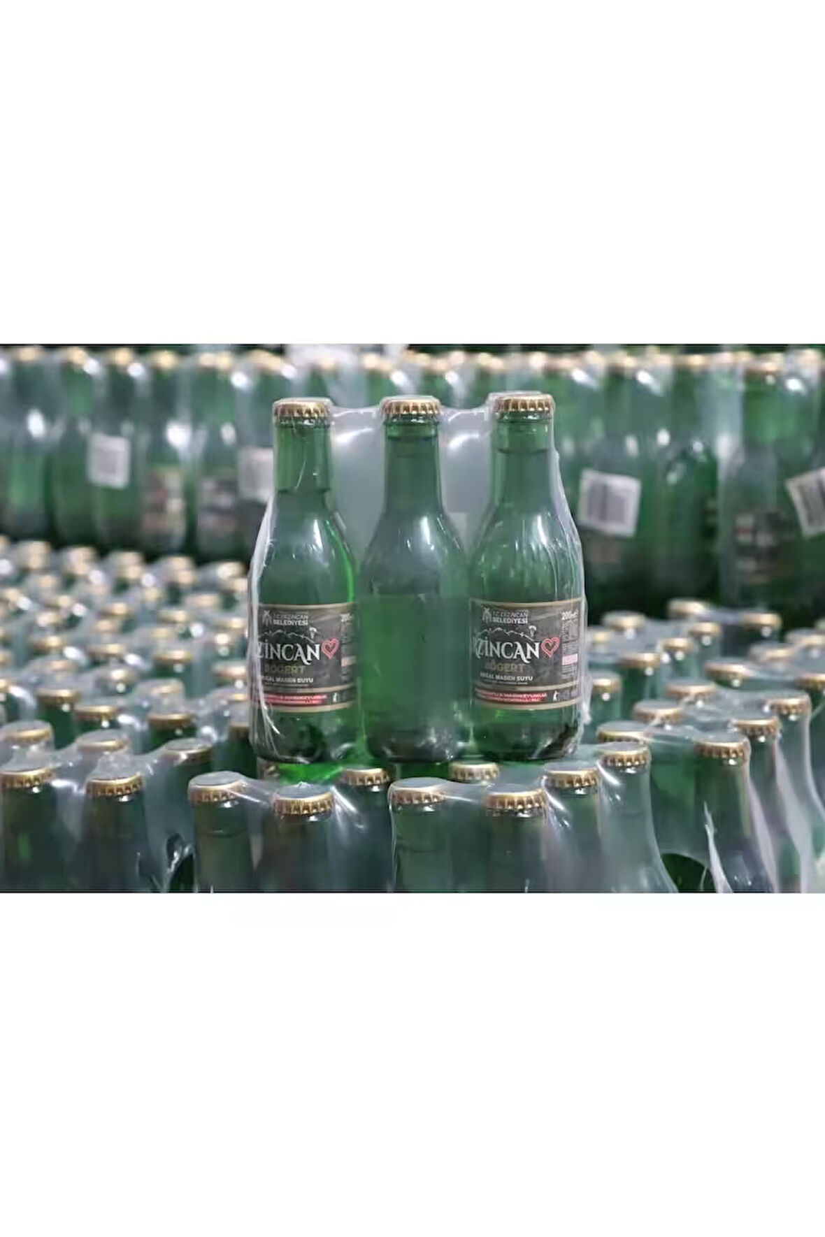 Erzincan Böğürt Doğal Maden Suyu