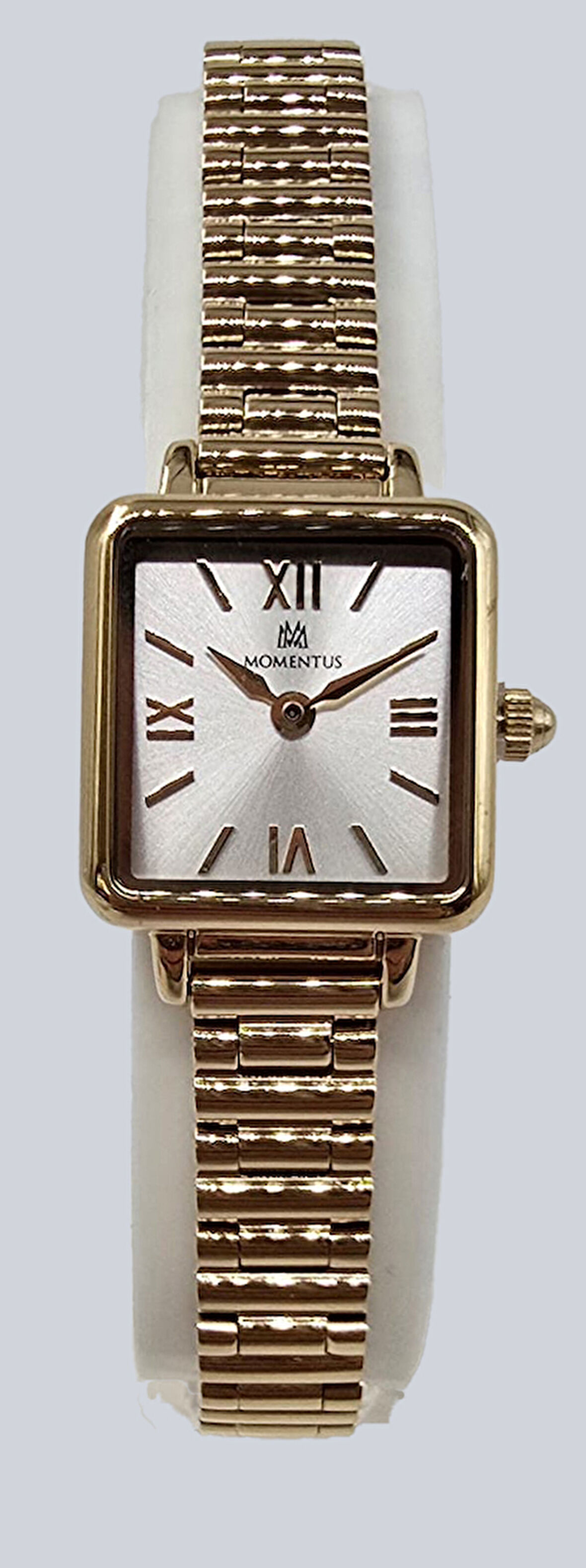 CW312G-02SG MOMENTUS WOMEN'S CLASSY KOL SAATİ