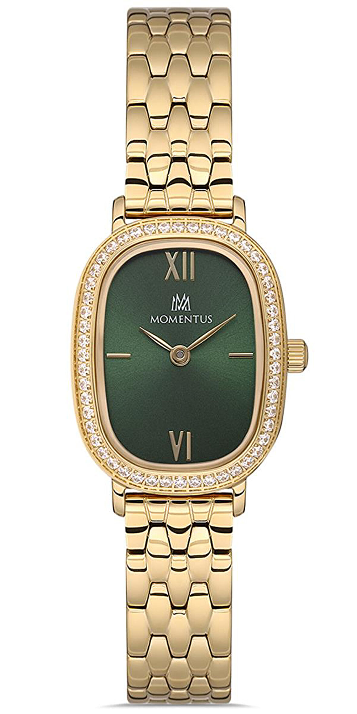 Momentus SS224G-15SG Kadın Kol Saati