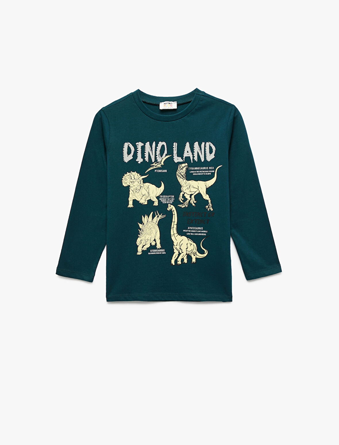 Uzun Kollu Bisiklet Yaka Pamuklu Dinozor Baskılı Tişört