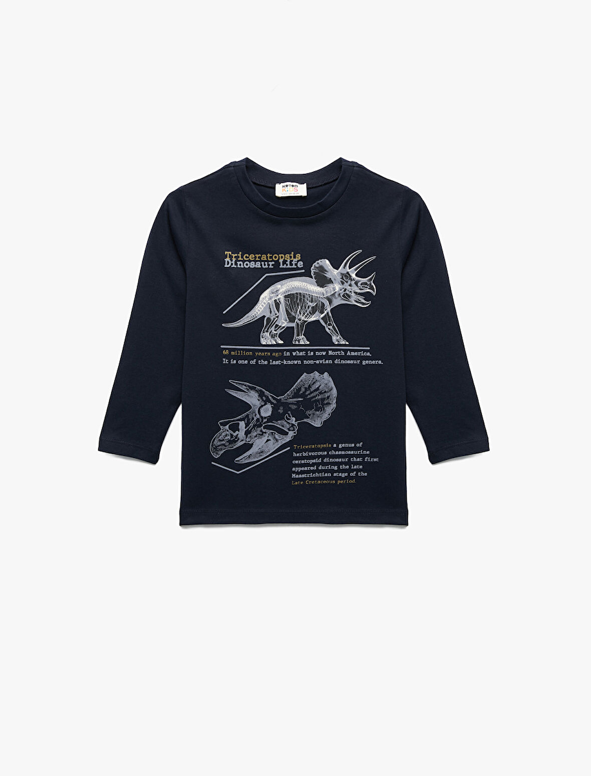 Pamuklu Uzun Kollu Bisiklet Yaka Dinozor Baskılı Tişört