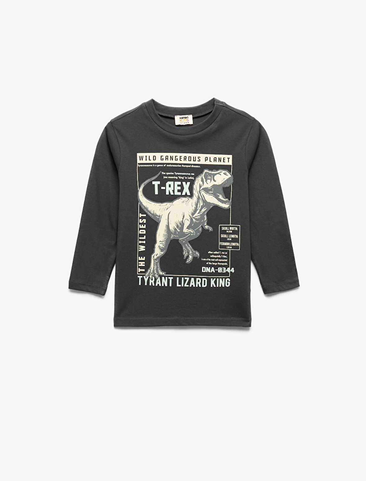 Dinozor Baskılı Uzun Kollu Bisiklet Yaka Tişört
