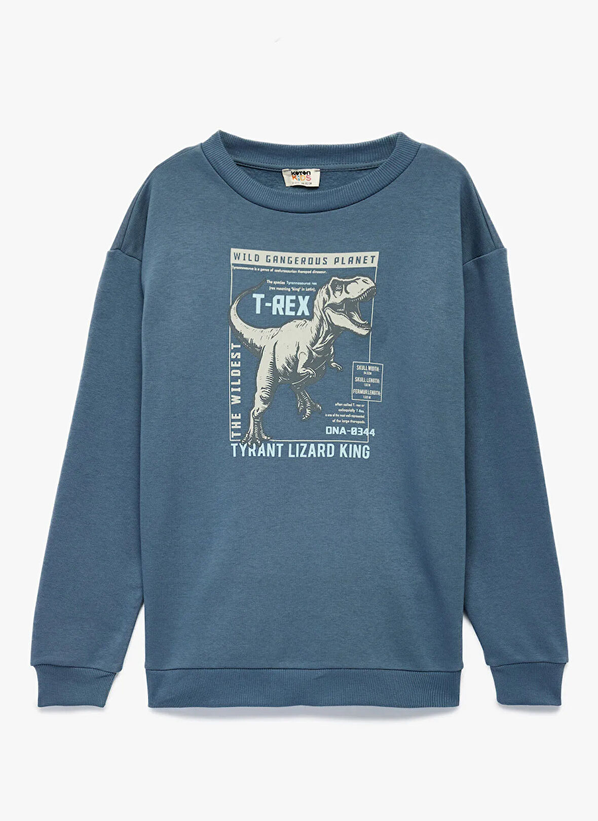 Koton Baskılı Erkek Çocuk Mavi Sweatshırt 6WKB10130TK