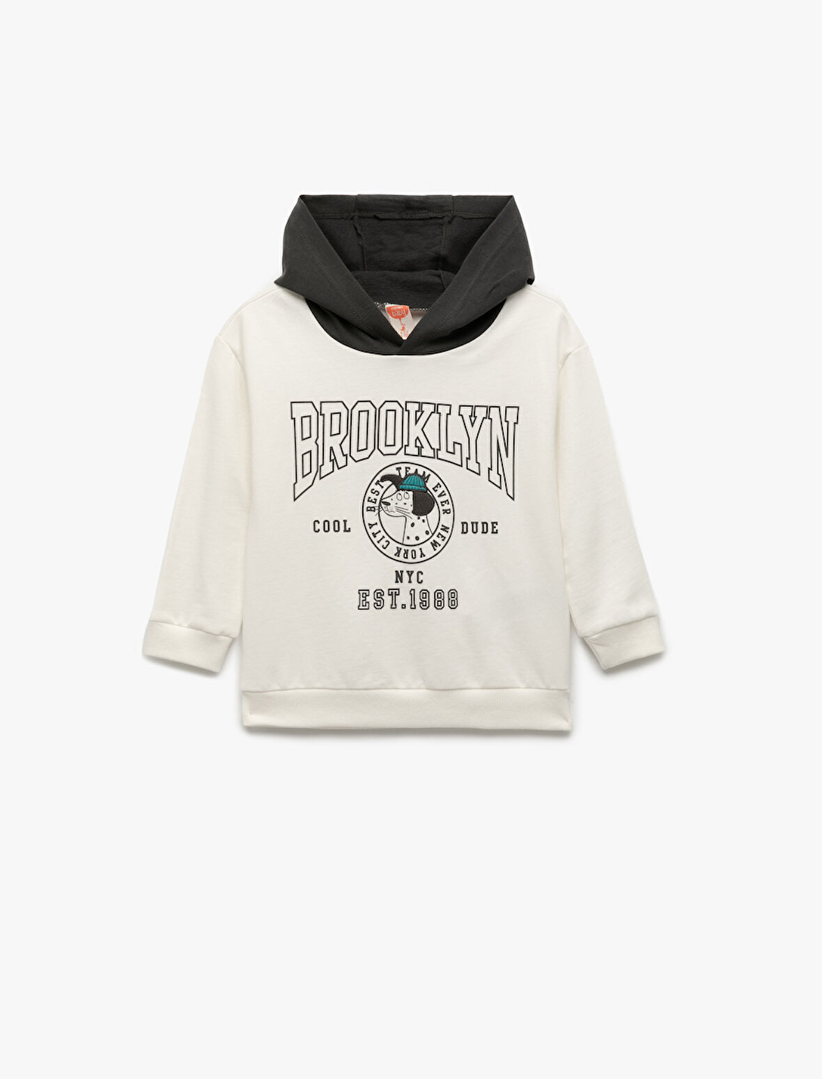 Pamuklu Şardonlu Uzun Kollu Baskılı Kapşonlu Sweatshirt
