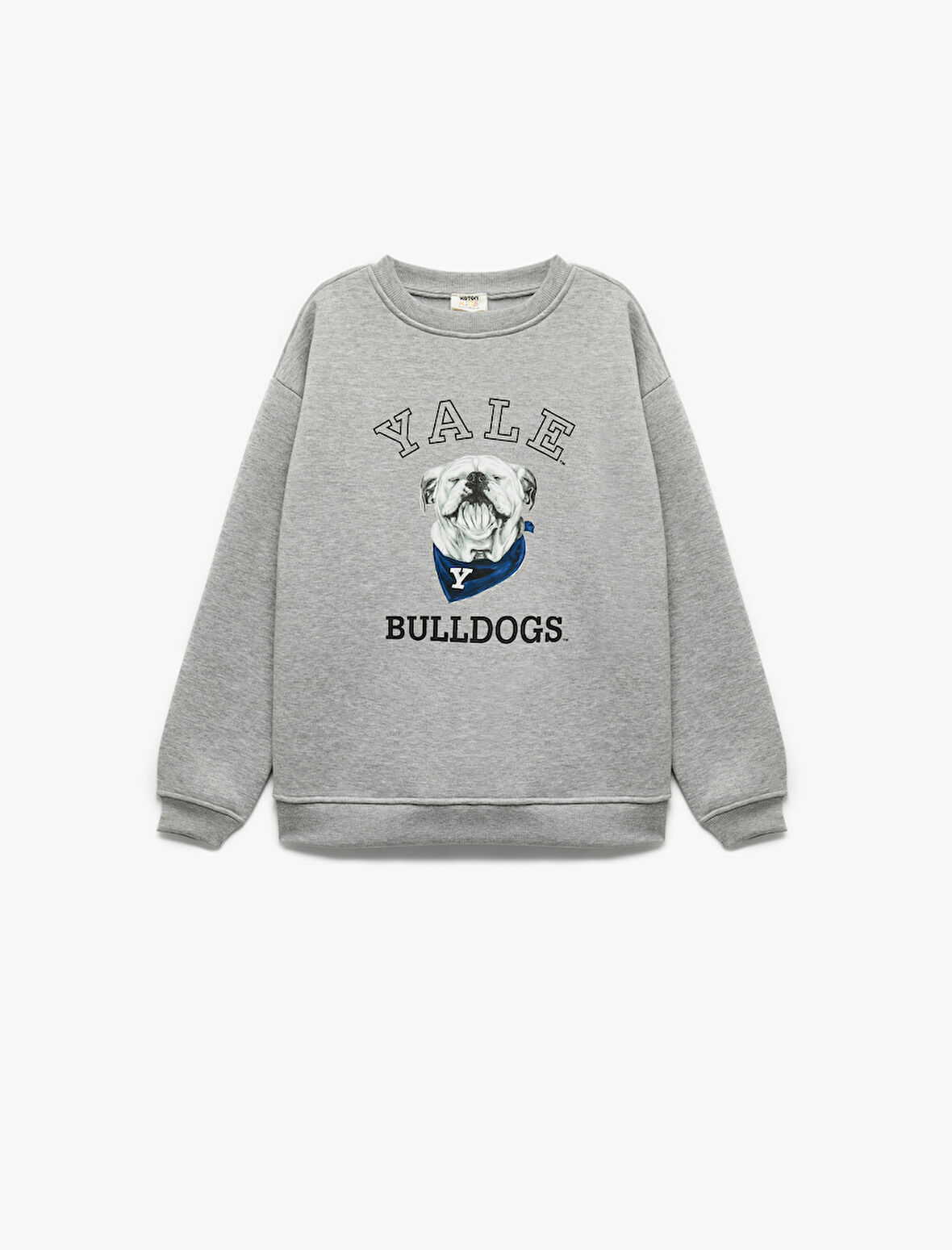 Lisanslı Uzun Kollu Bisiklet Yaka Baskılı Şardonlu Sweatshirt