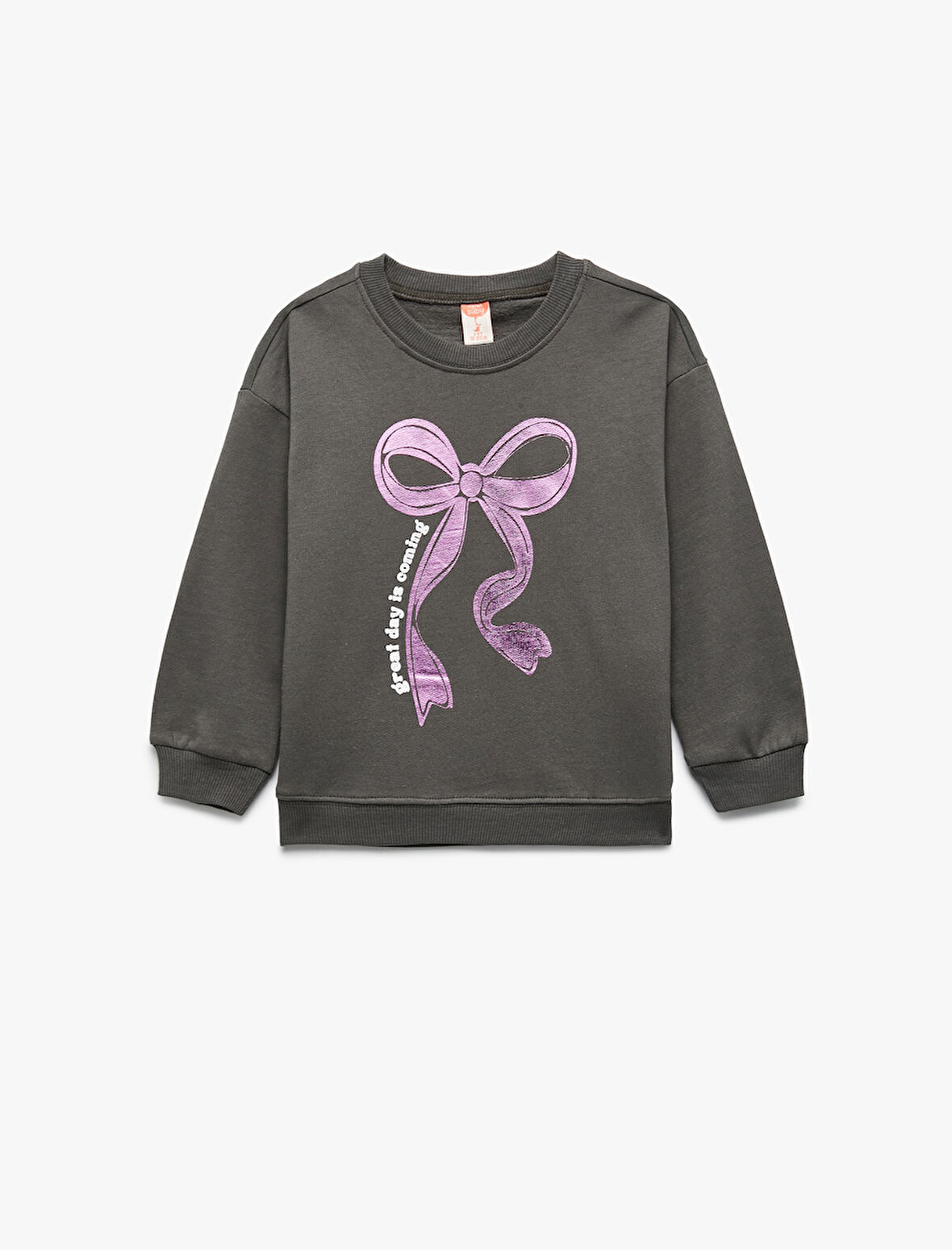 Uzun Kollu Şardonlu Bisiklet Yaka Fiyonk Baskılı Sweatshirt