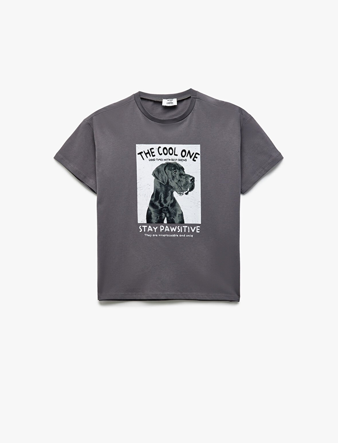 Köpek Baskılı Kısa Kollu Bisiklet Yaka Pamuklu Tişört
