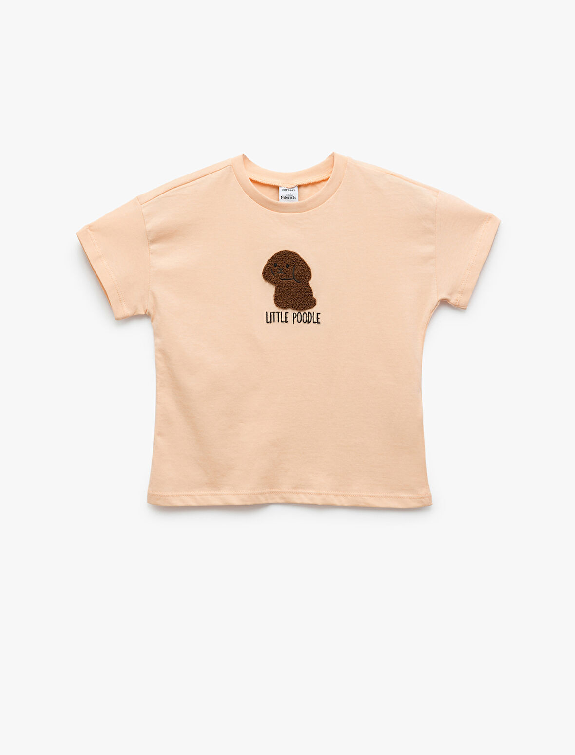 Nakış Detaylı Kısa Kollu Bisiklet Yaka Pamuklu Tişört