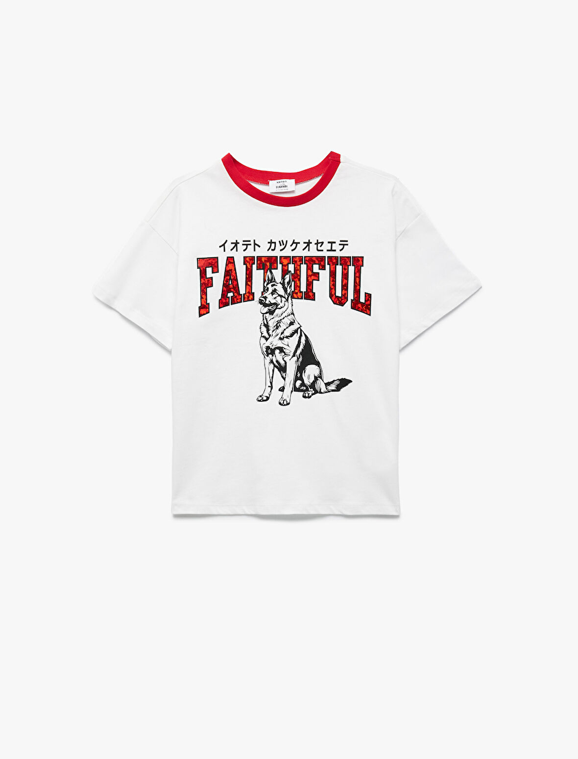 Kısa Kollu Bisiklet Yaka Pamuklu Köpek Baskılı Oversize Tişört