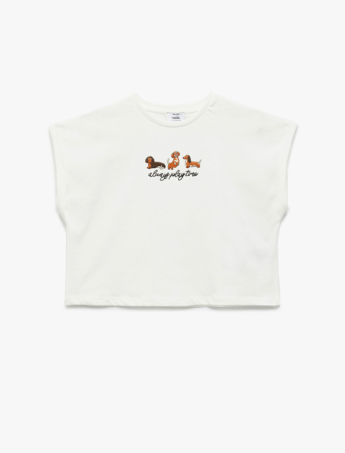 Nakış Detaylı Kısa Kollu Bisiklet Yaka Pamuklu Crop Tişört