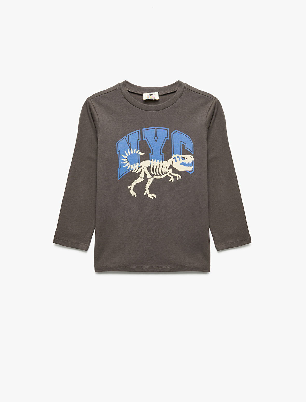 Dinozor Baskılı Uzun Kollu Bisiklet Yaka Pamuklu Tişört