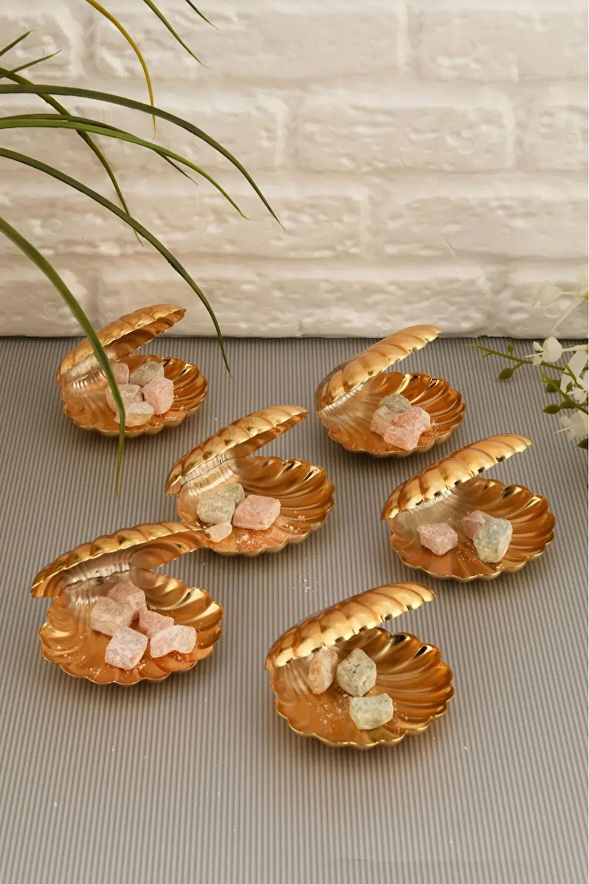 Mucit Home Brano 6 Lı Kahve Yanı Istiridye Lokumluk Gold