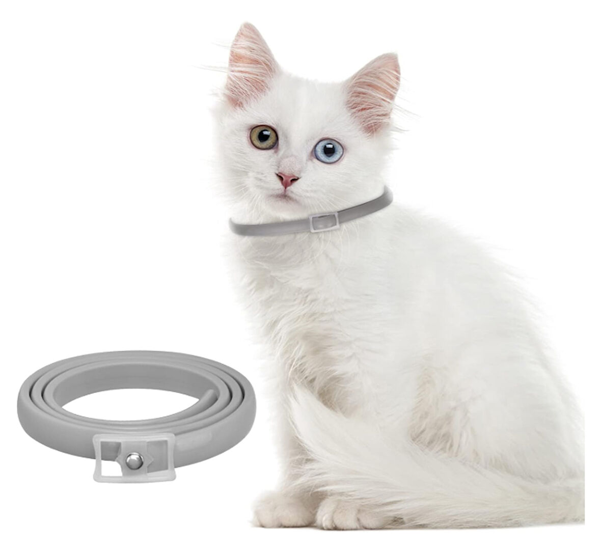 Mucit Home Kedi Pire ve Bit Kovucu Engelleyeci Tasma Boyunluk 38 cm