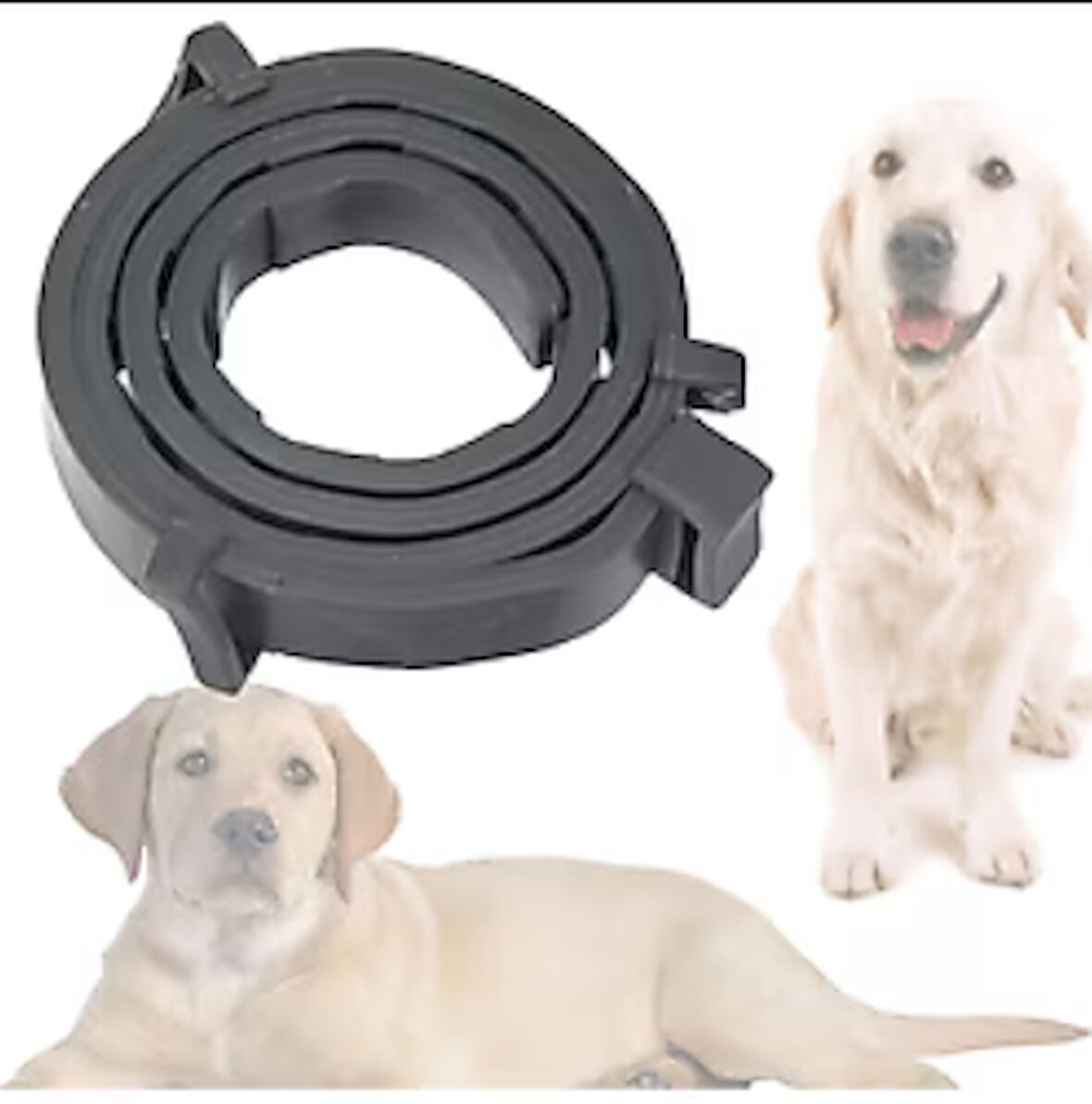 Mucit Home Köpek Pire ve Bit Kovucu Engelleyeci Tasma Boyunluk 62 cm