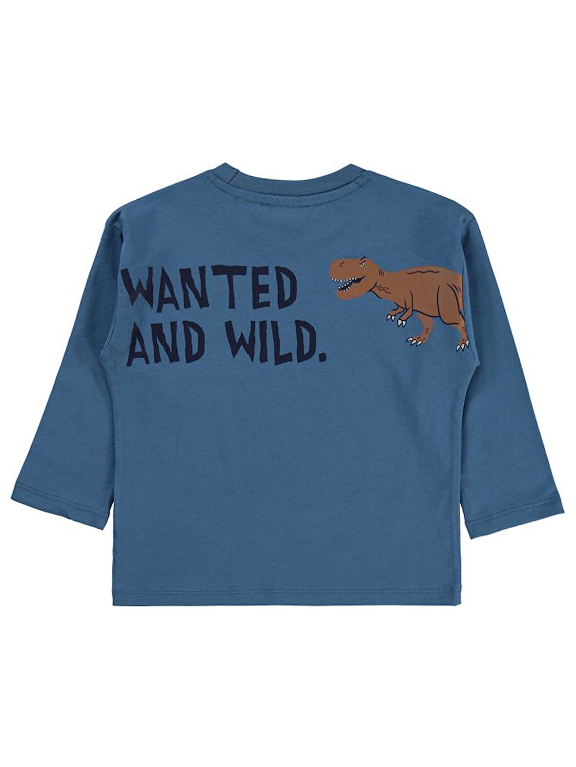 Civil Boys Dinosaur Walk Baskılı 2-5 Yaş Sweatshirt - Mavi2-3 Yaş