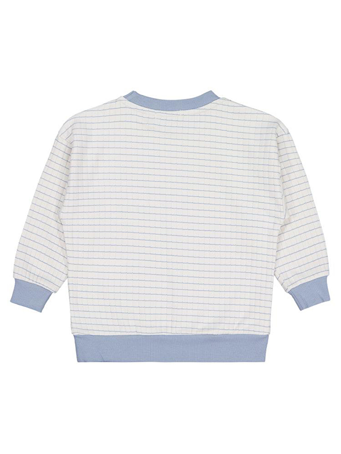 Civil Boys Aslan Nakışlı 2-5 Yaş Sweatshirt - Mavi 2-3 Yaş