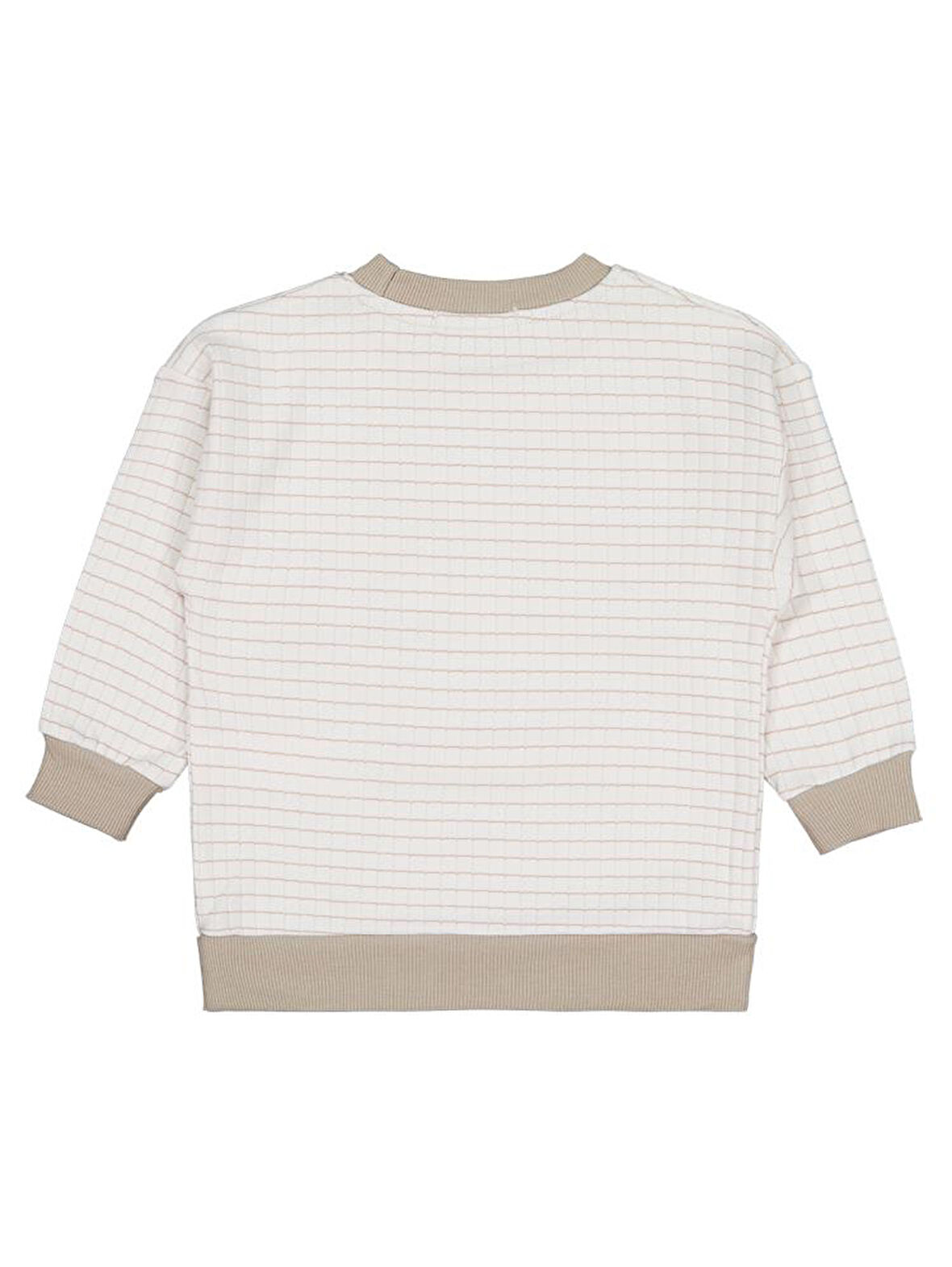 Civil Boys Aslan Nakışlı 2-5 Yaş Sweatshirt - Bej 4-5 Yaş