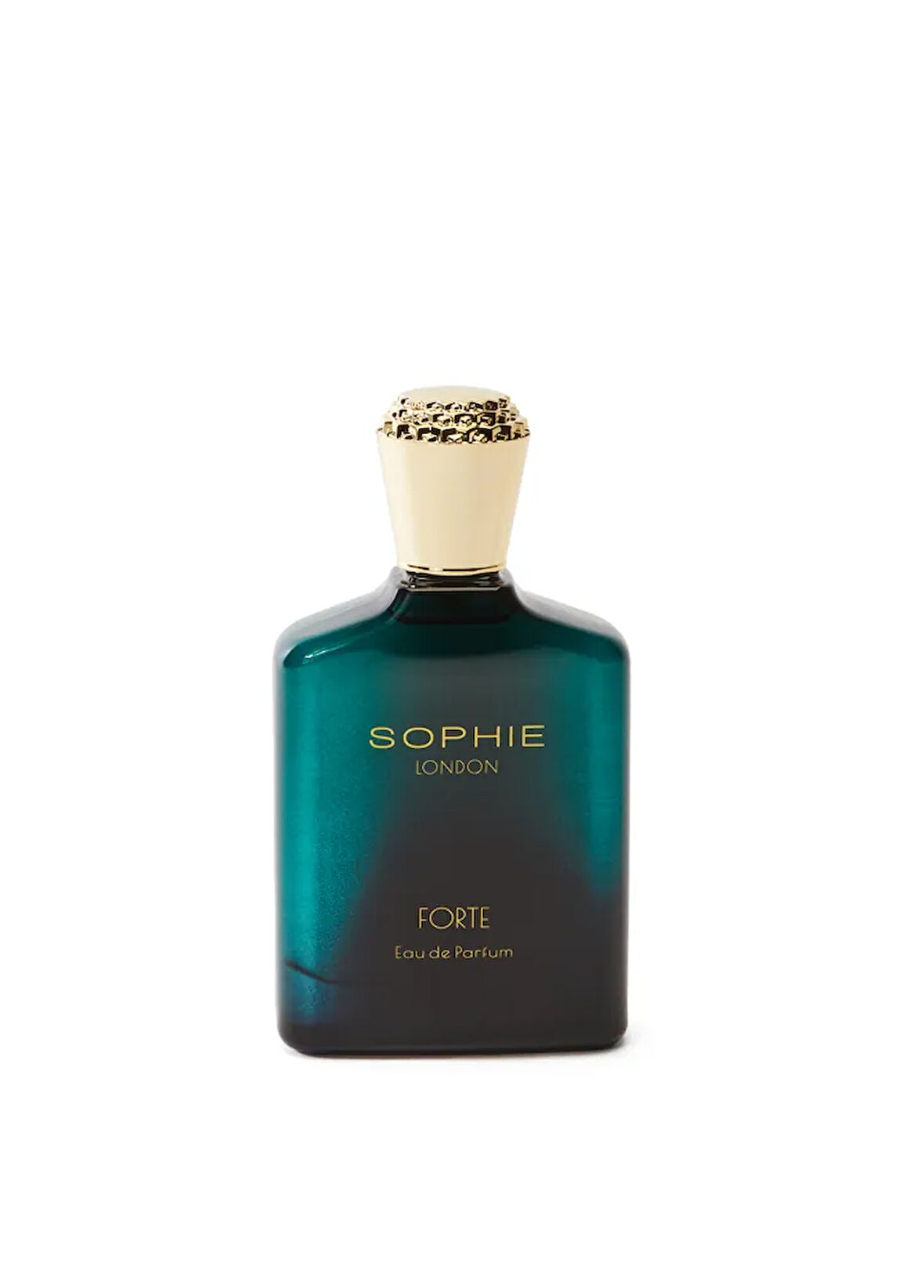 Forte Eau De Erkek Parfum 100ML