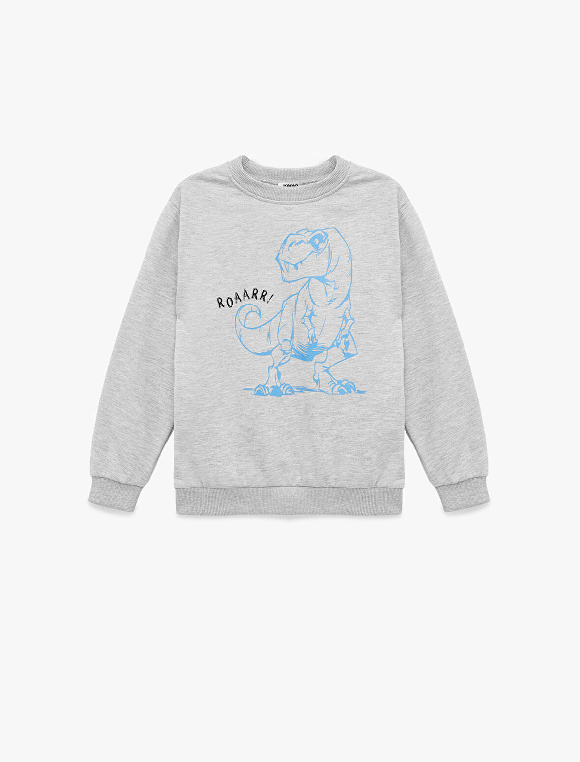 Uzun Kollu Bisiklet Yaka Dinozor Baskılı Sweatshirt