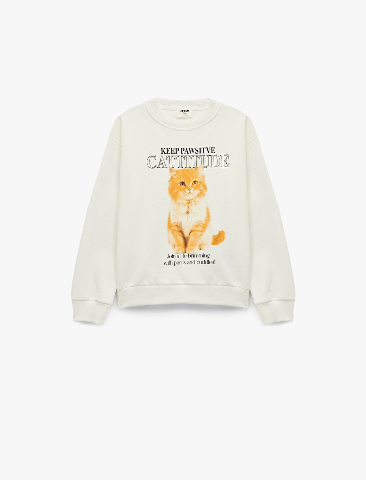 Pamuklu Uzun Kollu Bisiklet Yaka Kedi Baskılı Sweatshirt