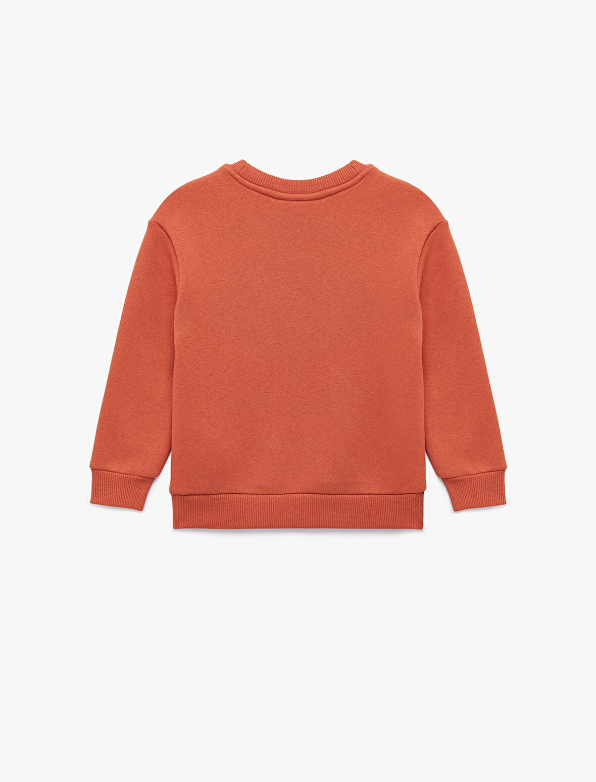 Aslan Baskılı Uzun Kollu Bisiklet Yaka Sweatshirt