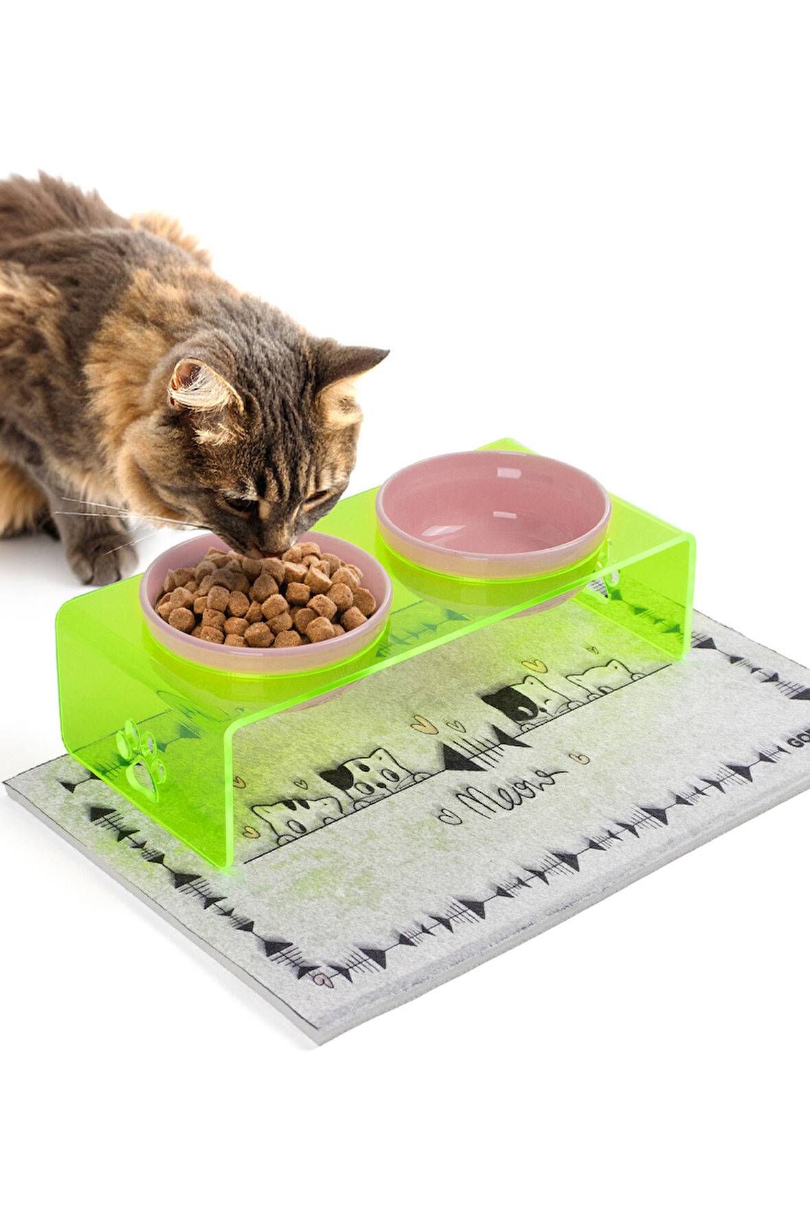 2'li Yeşil Pleksi Dekoratif Kedi Ve Köpek Seramik Mama & Su Kabı Paspas Hediye
