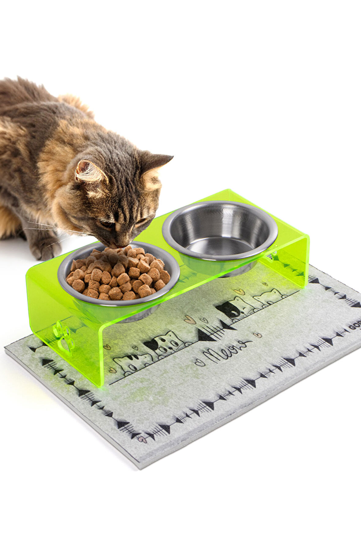 2'li Yeşil Pleksi Dekoratif Kedi Ve Köpek Seramik Mama & Su Kabı Paspas Hediye