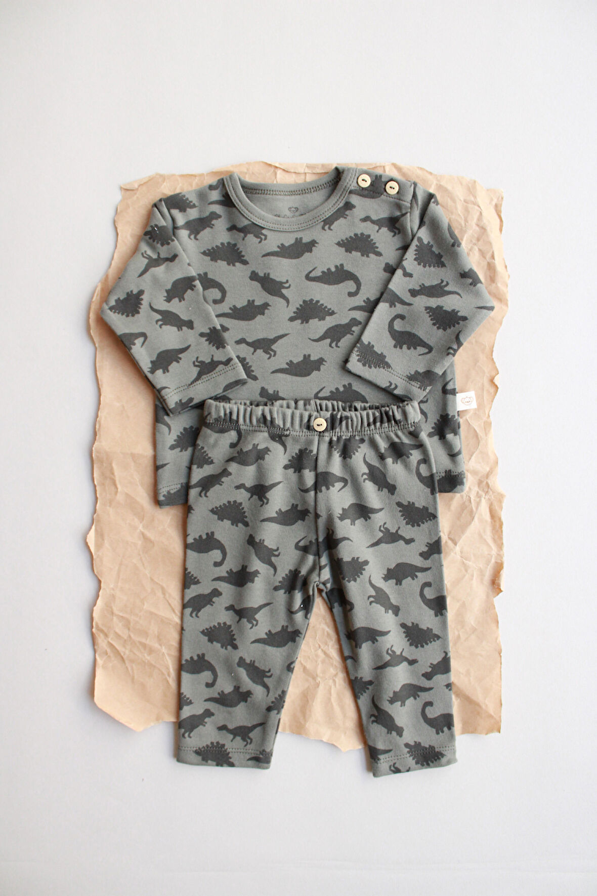 Dinozor Baskılı Bebek Alt Üst Takım