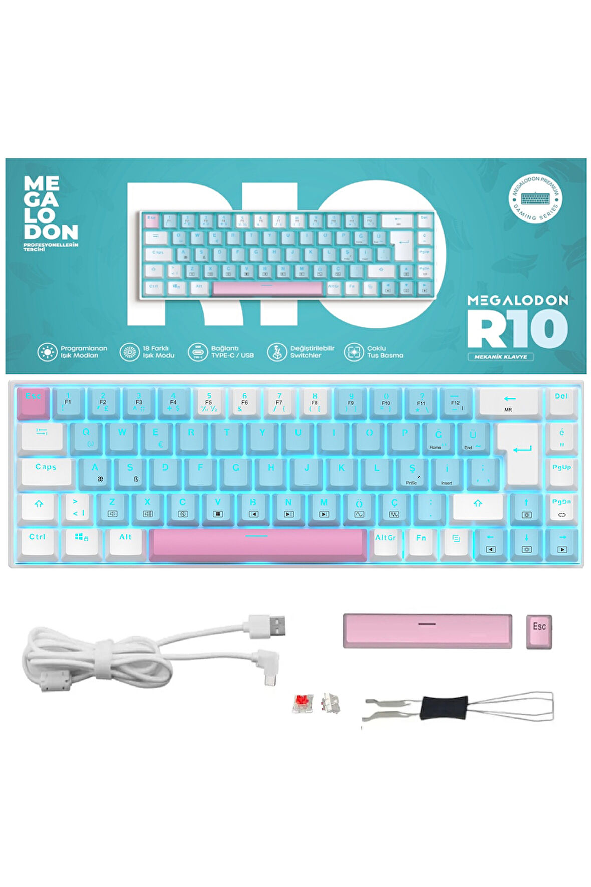 R10 Mekanik Oyuncu Klavyesi Full Anti-Ghosting Hot Swap Red Switch Buz Mavisi Işıklandırma (TürkçeQ)