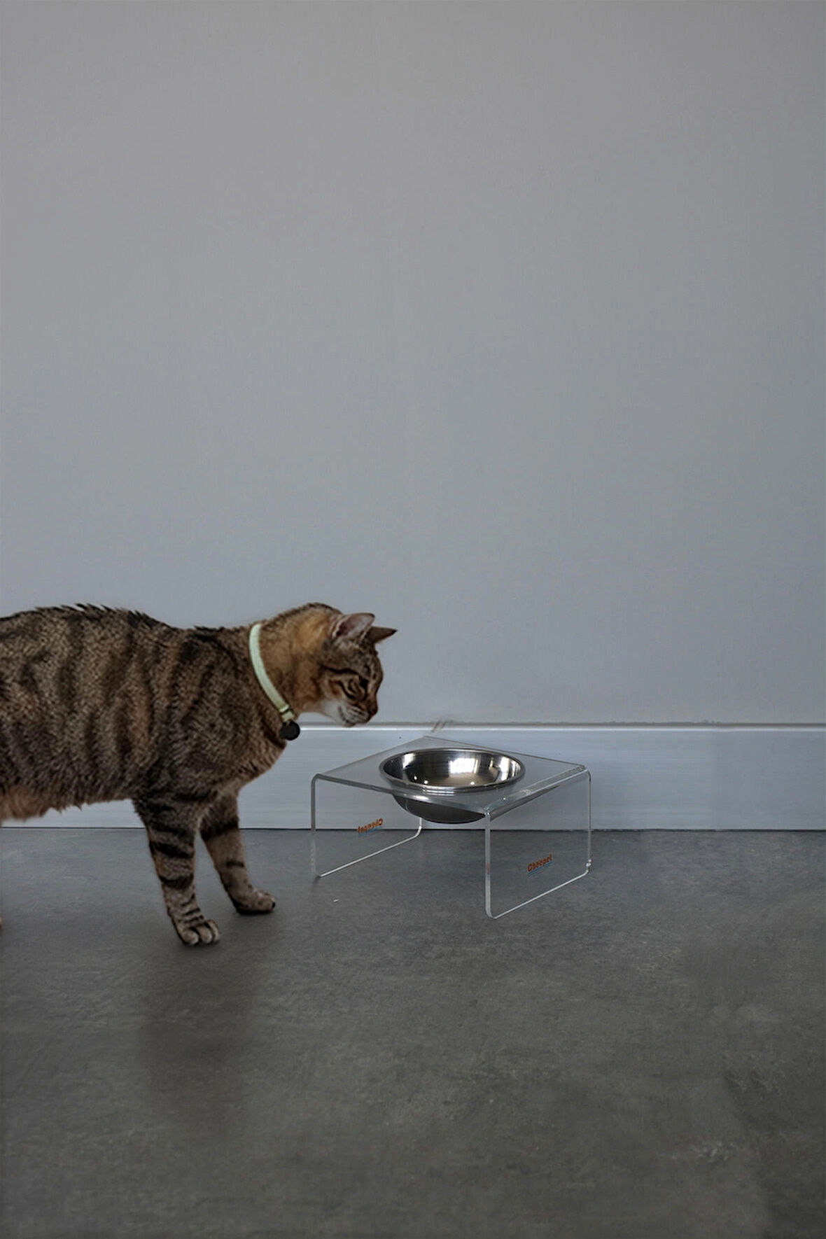 Cheepet Tek Kaseli Mama Kabı – Şık Tasarım & Kolay Temizlenebilir