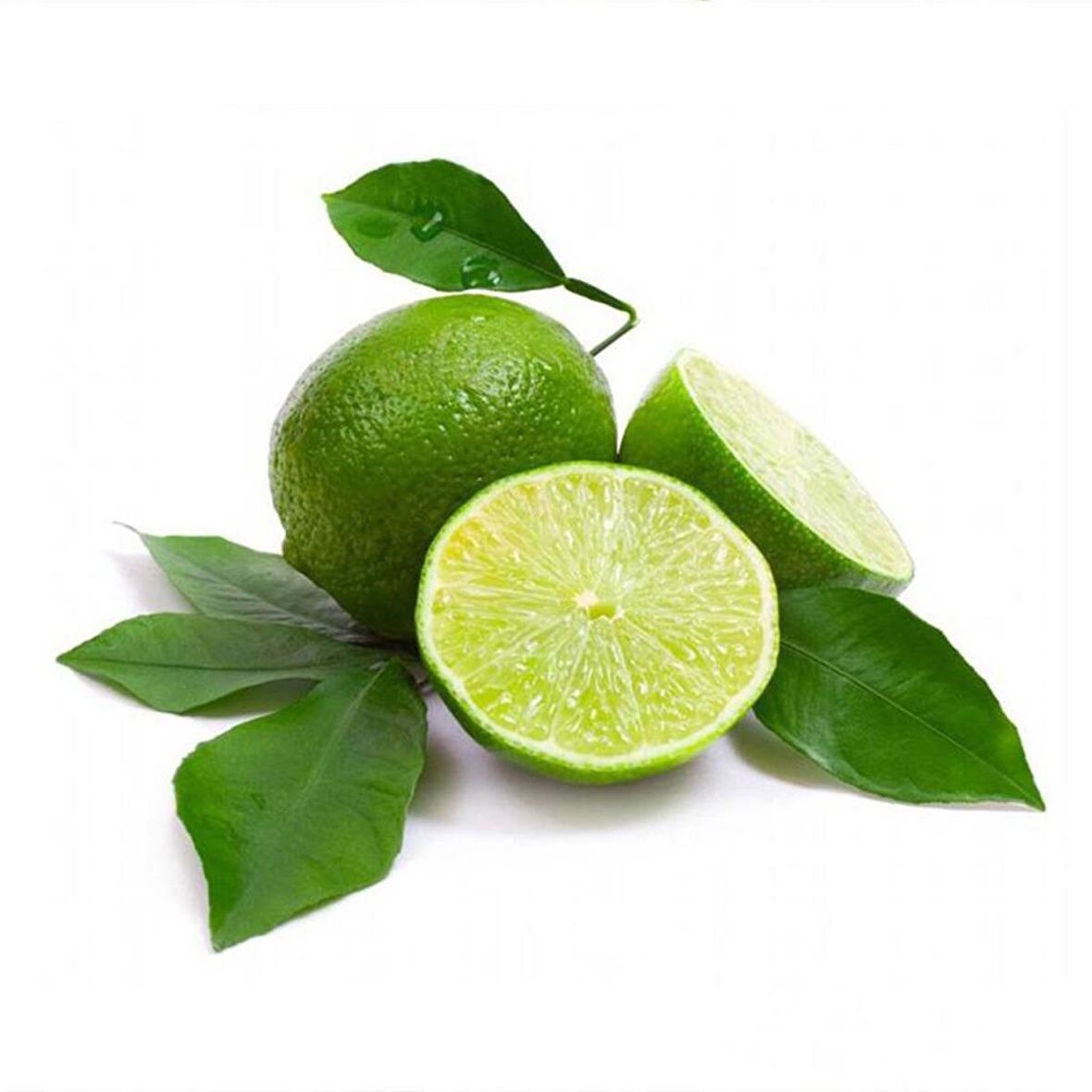 Tüplü Aşılı Nadir Çeşit Meksika Lime (Çekirdeksiz Limon) Fidanı