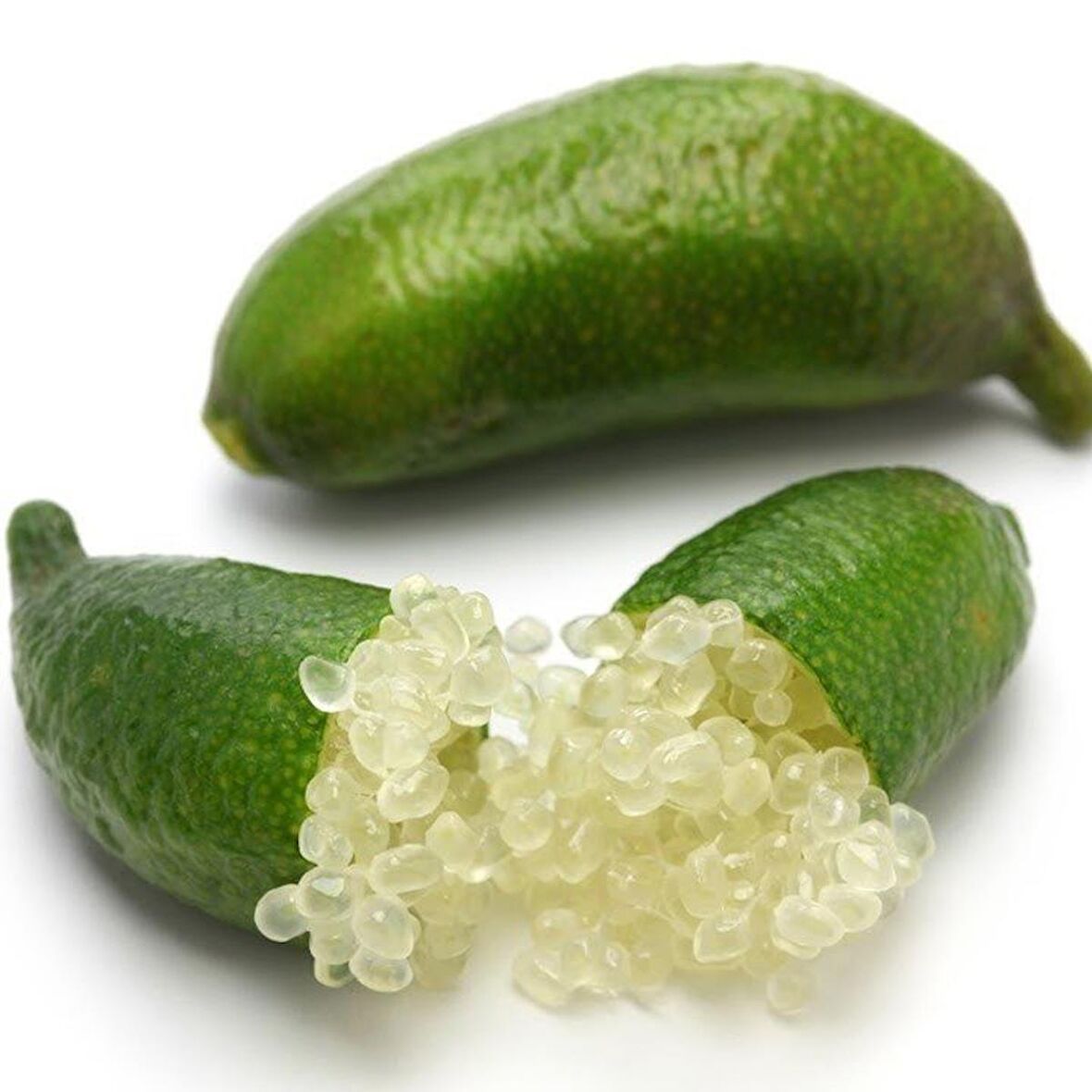 Tüplü Meyve Verme Yaşında  Finger Lime Fidanı