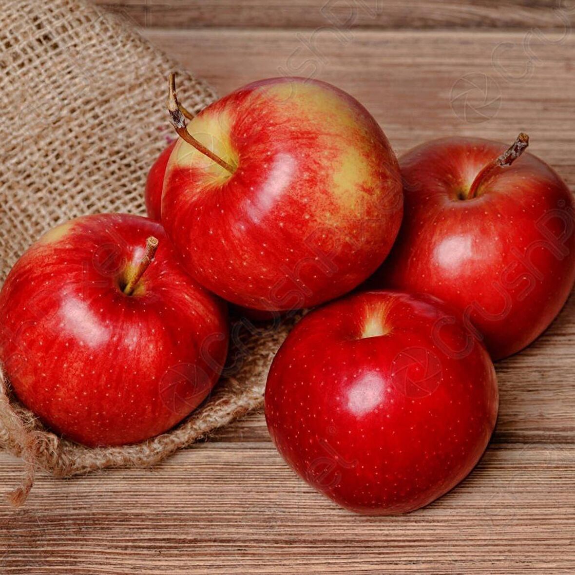 Tüplü Aşılı Tam Bodur Red Miracle Elma Fidanı