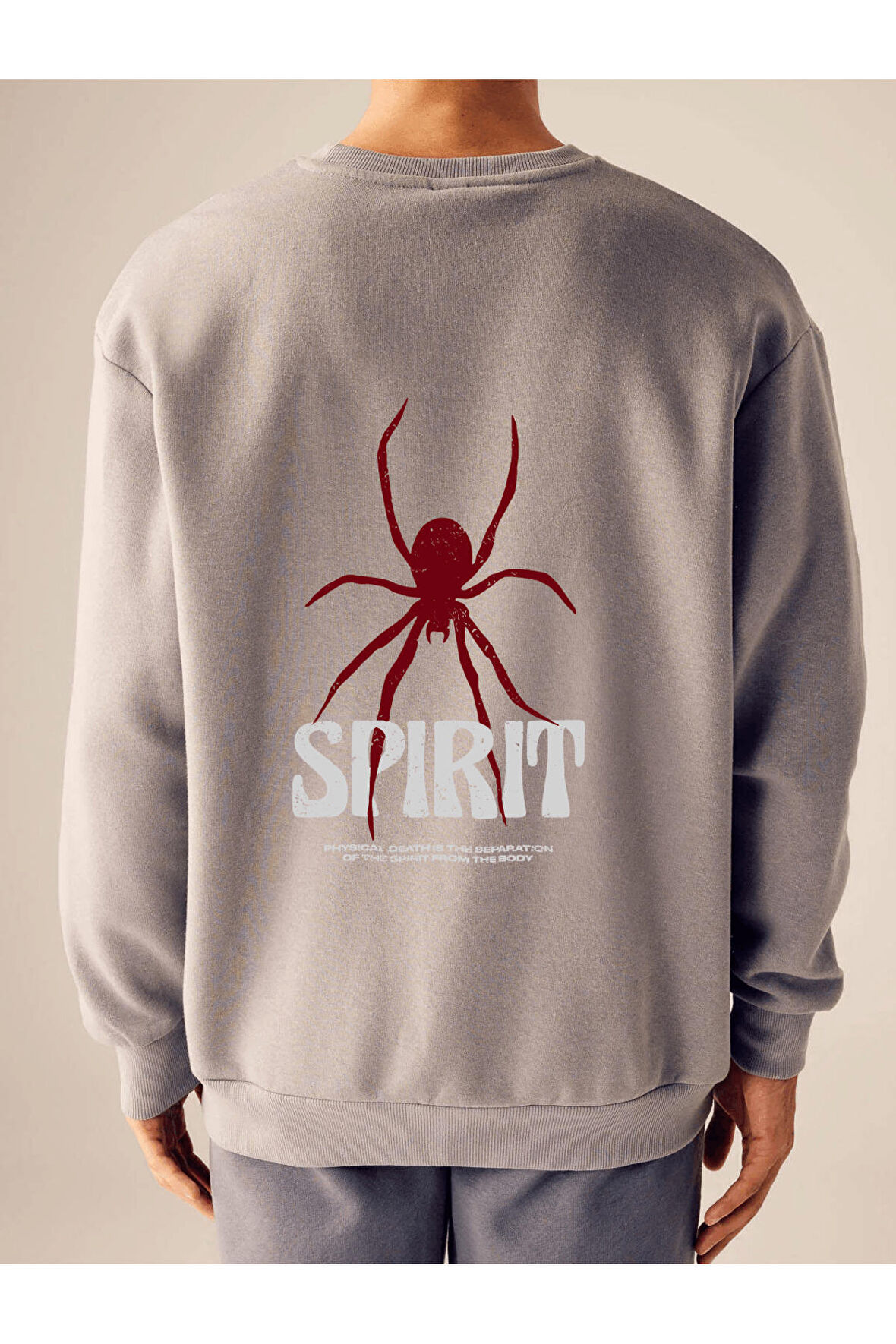 Unisex Oversize Spirit Sweatshirt