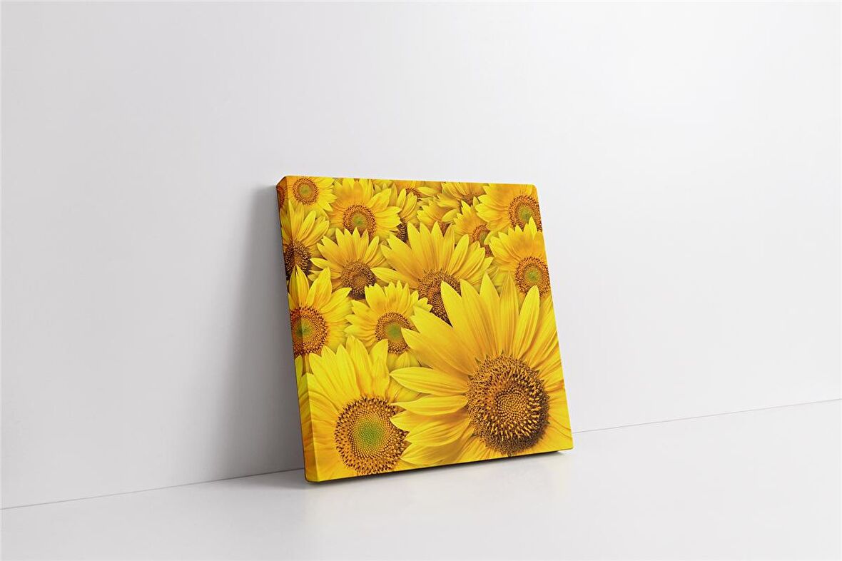 Ayçiçekleri Kanvas Tablo