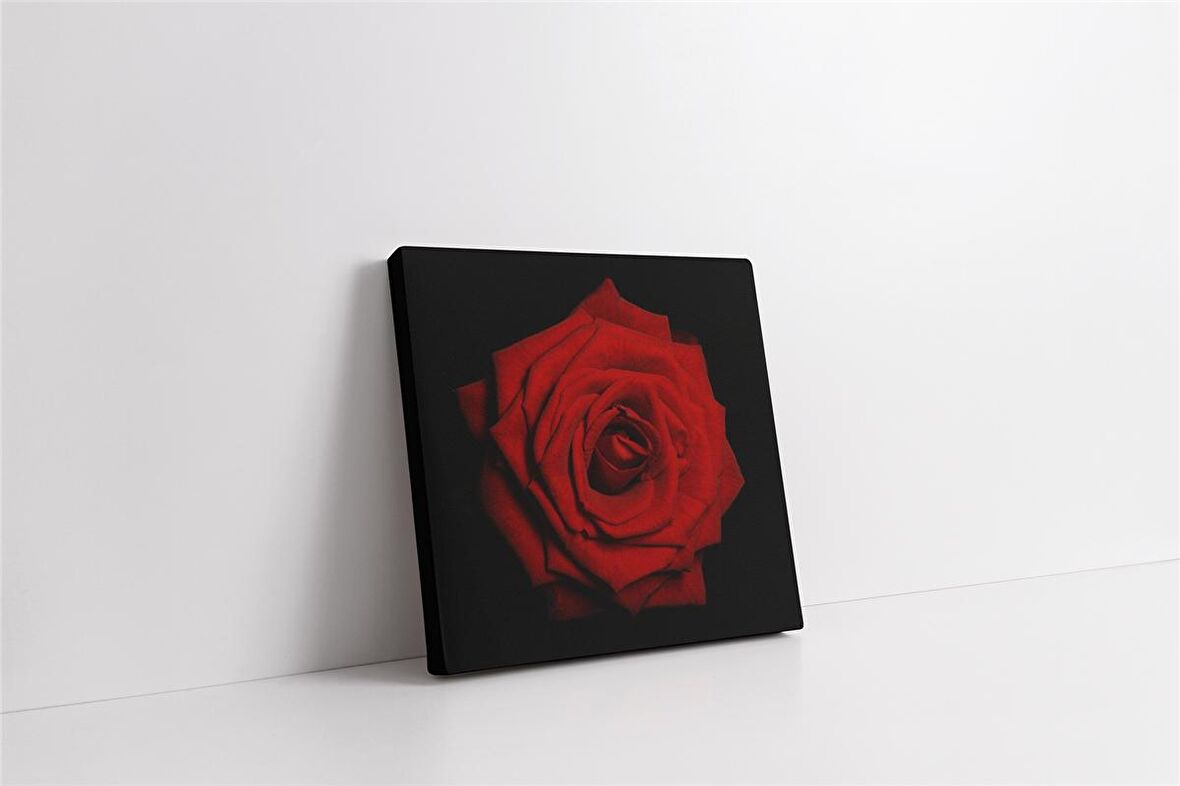 Siyah Fon Üzerinde Kırmızı Gül Kanvas Tablo