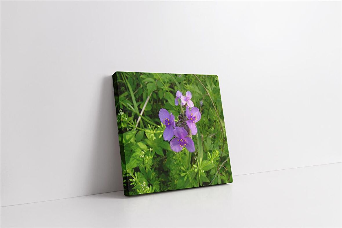 Mor Menekşeler Kanvas Tablo