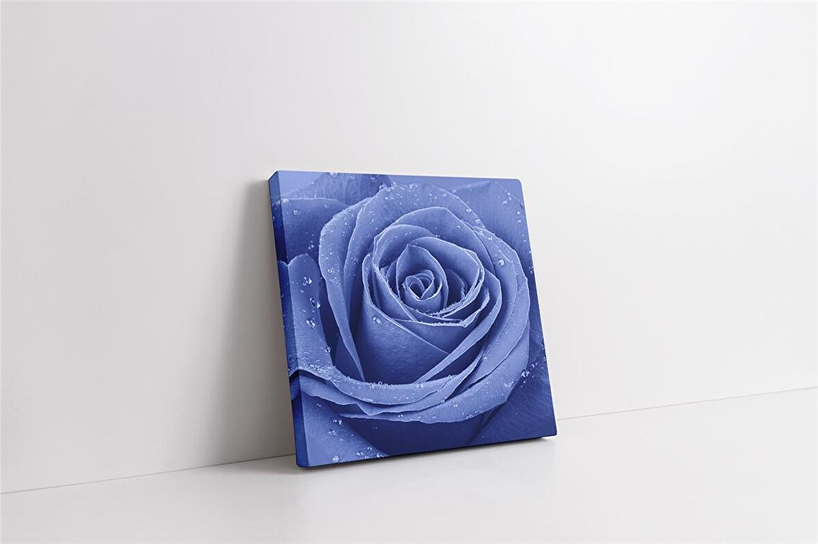 Gül ve Üzerindeki Su Damlacıkları Kanvas Tablo