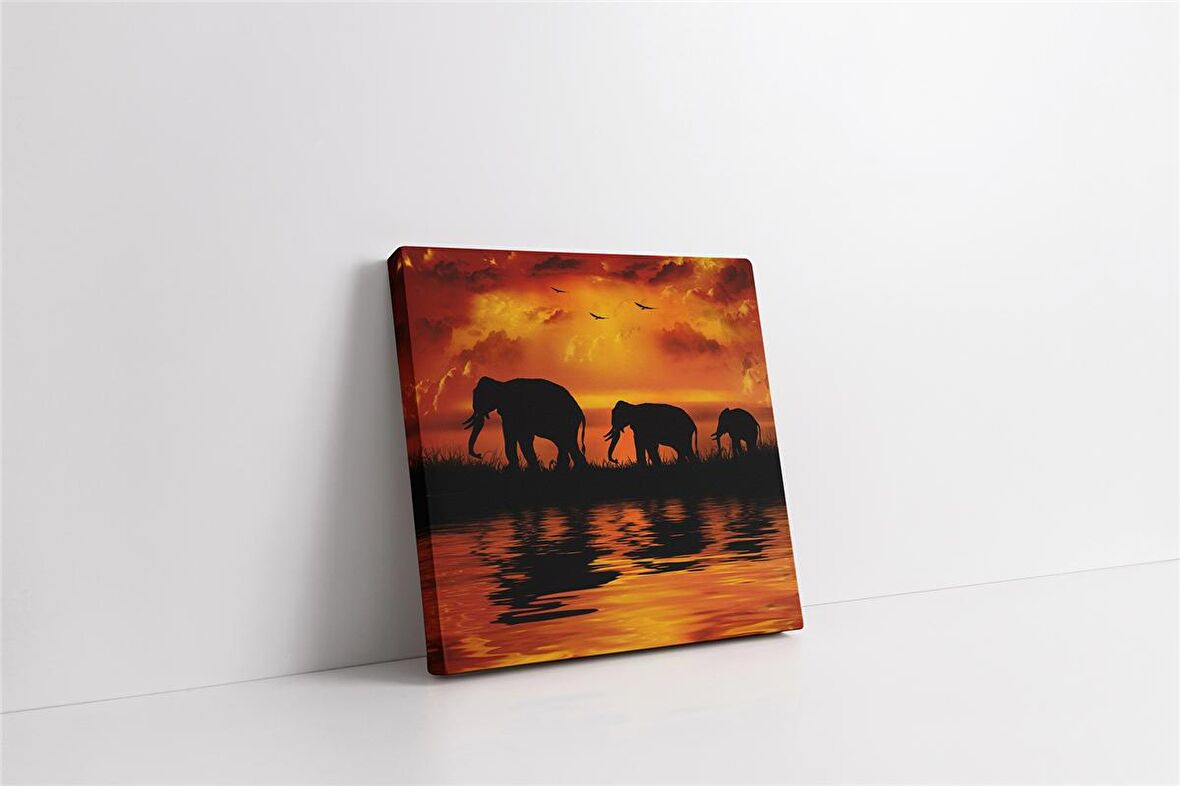 Filler Safari Kanvas Tablo