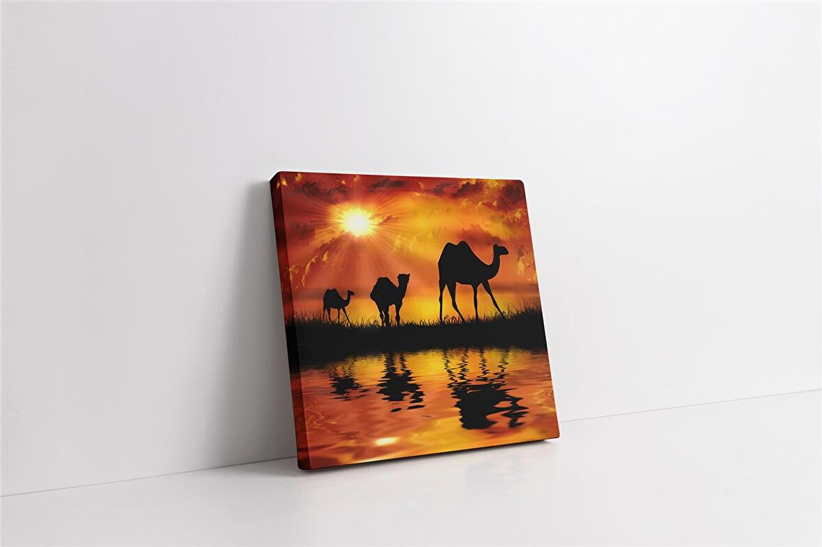 Develer Kanvas Tablo