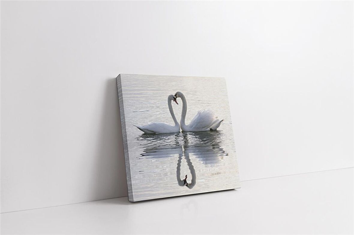 Beyaz Kuğu Kanvas Tablo