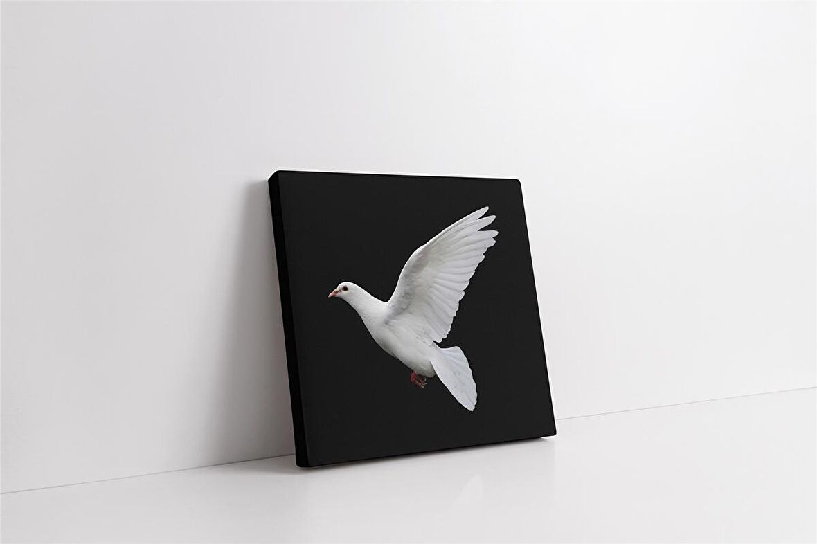 Güvercin Kanvas Tablo