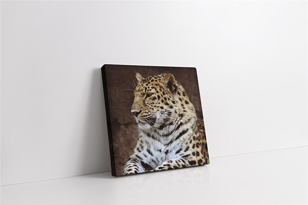 Vahşi Doğa Kaplan Kanvas Tablo