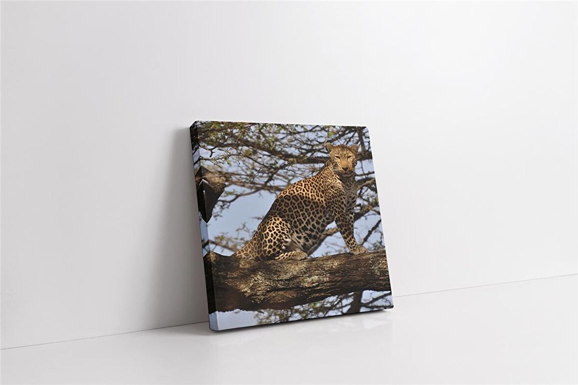 Vahşi Doğa Kaplan Kanvas Tablo