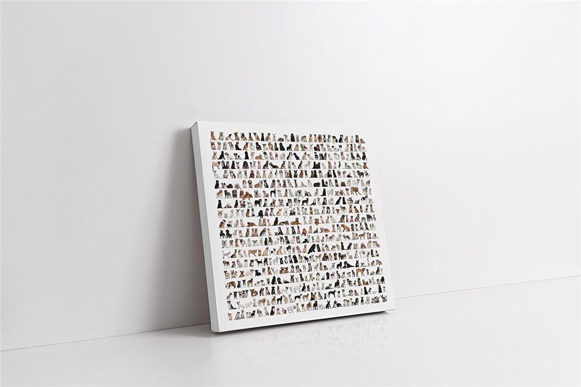 Kedi Kolajı Kanvas Tablo