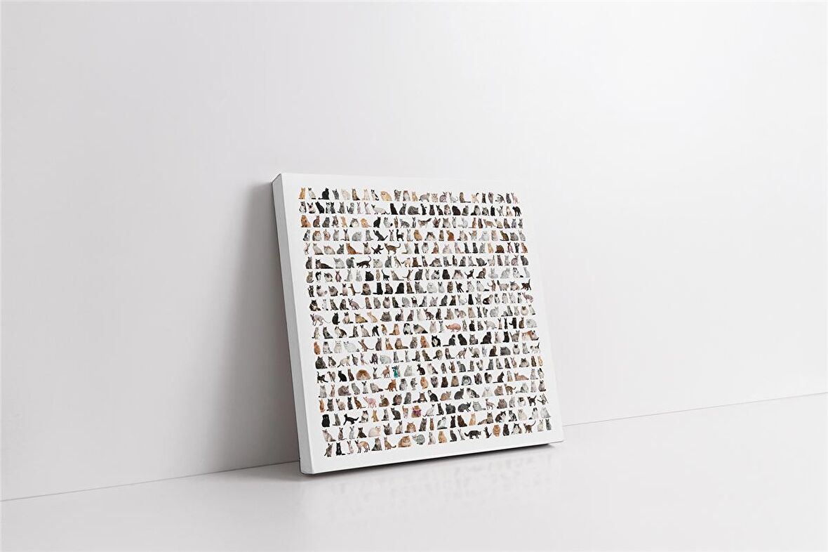 Kedi Kolajı Kanvas Tablo